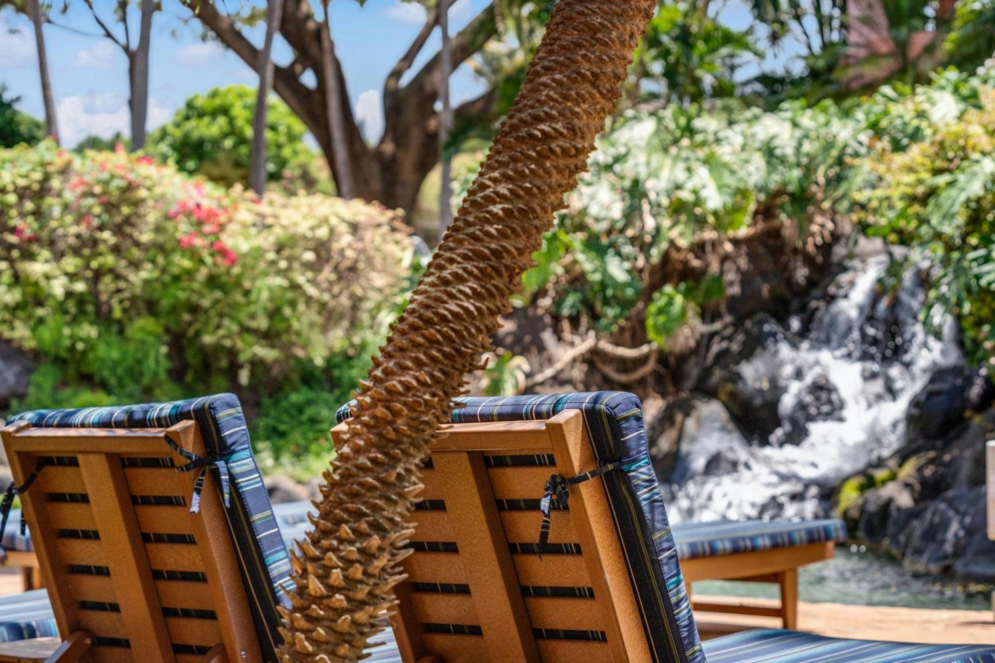 Kahana Falls Resort Napili-Honokowai Экстерьер фото